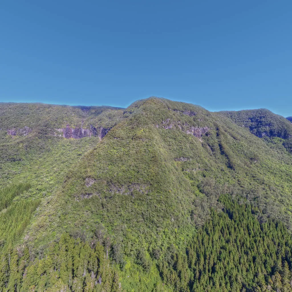 Vue du panorama : La forêt de Bébour