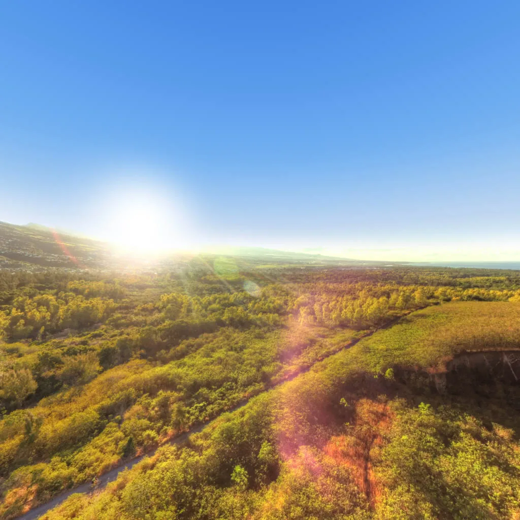 Vue du panorama : Les terres rouges de la forêt