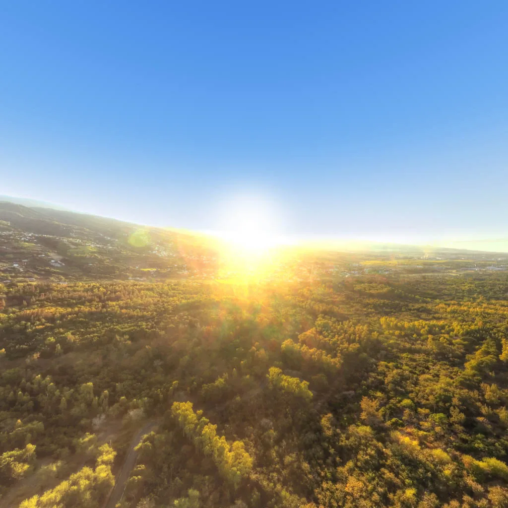 Vue du panorama : La forêt des Hauts au couchant