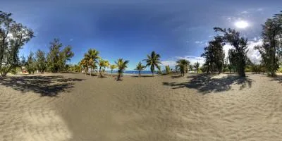Aperçu du panorama : La lisière entre forêt et plage