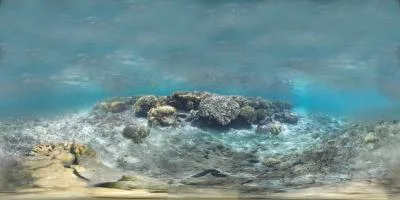 Aperçu du panorama : Sous l'eau, dans le lagon
